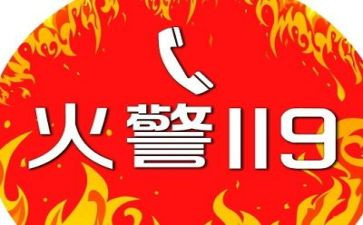 关于119消防日活动总结7篇