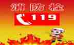 119消防月活动总结推荐5篇
