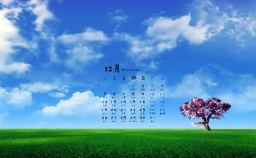 12月份党日活动总结5篇