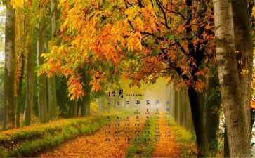 12月党日活动总结报告5篇