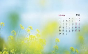 12月活动主题及方案策划5篇
