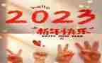 2023年司机工作总结最新8篇