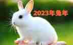 2023年乡组织工作总结最新8篇