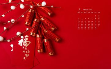 2月活动方案5篇