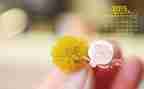 教师2024年2月份工作总结6篇