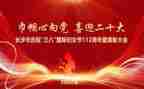 镇38活动总结参考8篇