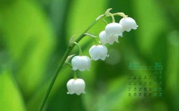 2024年4月活动方案8篇