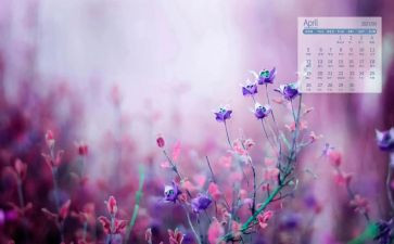 4月活动总结通用5篇