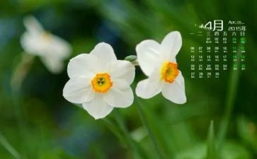 4月活动总结8篇