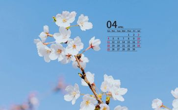 2024年4月活动方案模板5篇