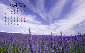 幼儿园4月活动总结优秀8篇