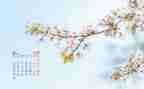 4月活动总结优质7篇