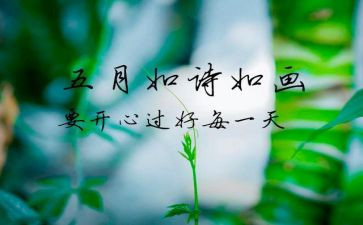 5月29活动总结通用8篇