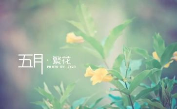 2024年5月份工作计划最新8篇