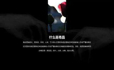 626宣传活动总结推荐6篇