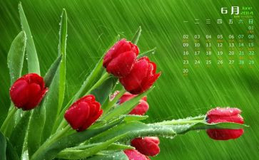 6月安全生产活动总结优秀7篇