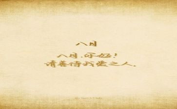 8月15活动方案8篇