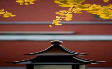 销售8月份工作计划7篇