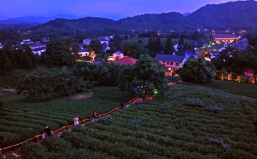 安吉户外游戏心得体会5篇