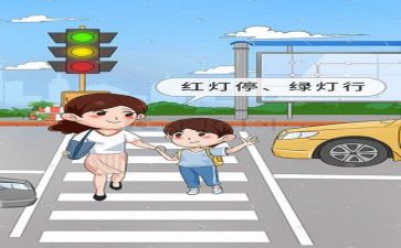 安全的心得体会模板6篇