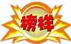 我们的榜样作文8篇