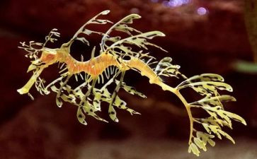 微生物实验心得体会7篇