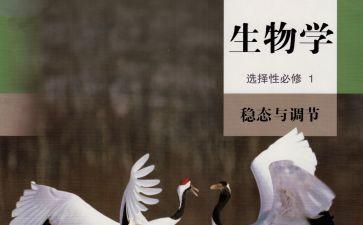 八生物上工作总结优质7篇