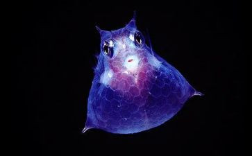 七上生物工作计划优质6篇