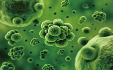 高二下学期生物工作计划5篇