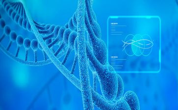 生物学科教学总结7篇