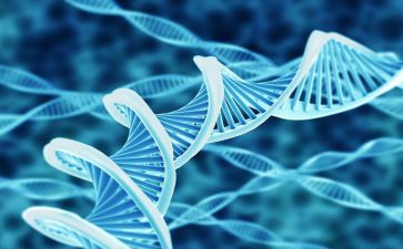 2024年生物教学计划7篇