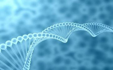七上生物工作计划优秀5篇