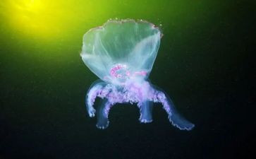 生物教研活动总结5篇