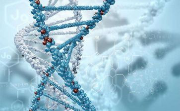 八生物上工作总结通用6篇
