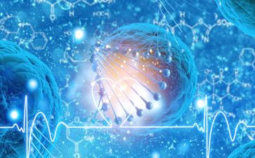 浙科高中生物教案6篇