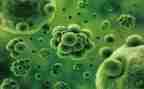 高二下学期生物工作计划5篇