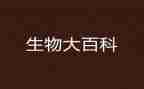 2024生物教学计划优质6篇