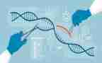 新学期工作计划生物6篇