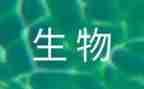浙科高中生物教案优质6篇