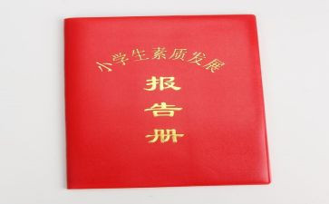 设计调研报告册范文6篇