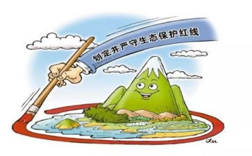 保护动物的作文推荐6篇