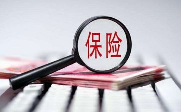 保险个人年度工作总结8篇