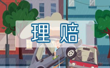 保险公司工作总结范文模板5篇