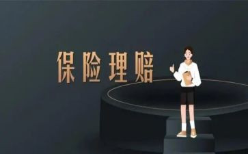 保险个人年度工作总结推荐8篇