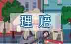 保险公司工作总结范文模板5篇