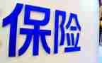 2024年保险公司年终工作总结推荐5篇