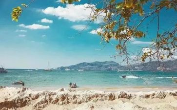 把握的作文500字作文模板7篇