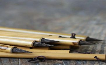 读猎人笔记心得体会6篇
