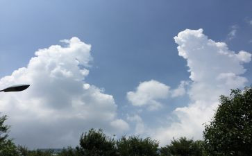风的变化调查报告5篇