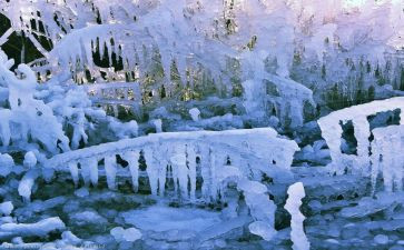 冰心繁星159读后感最新5篇